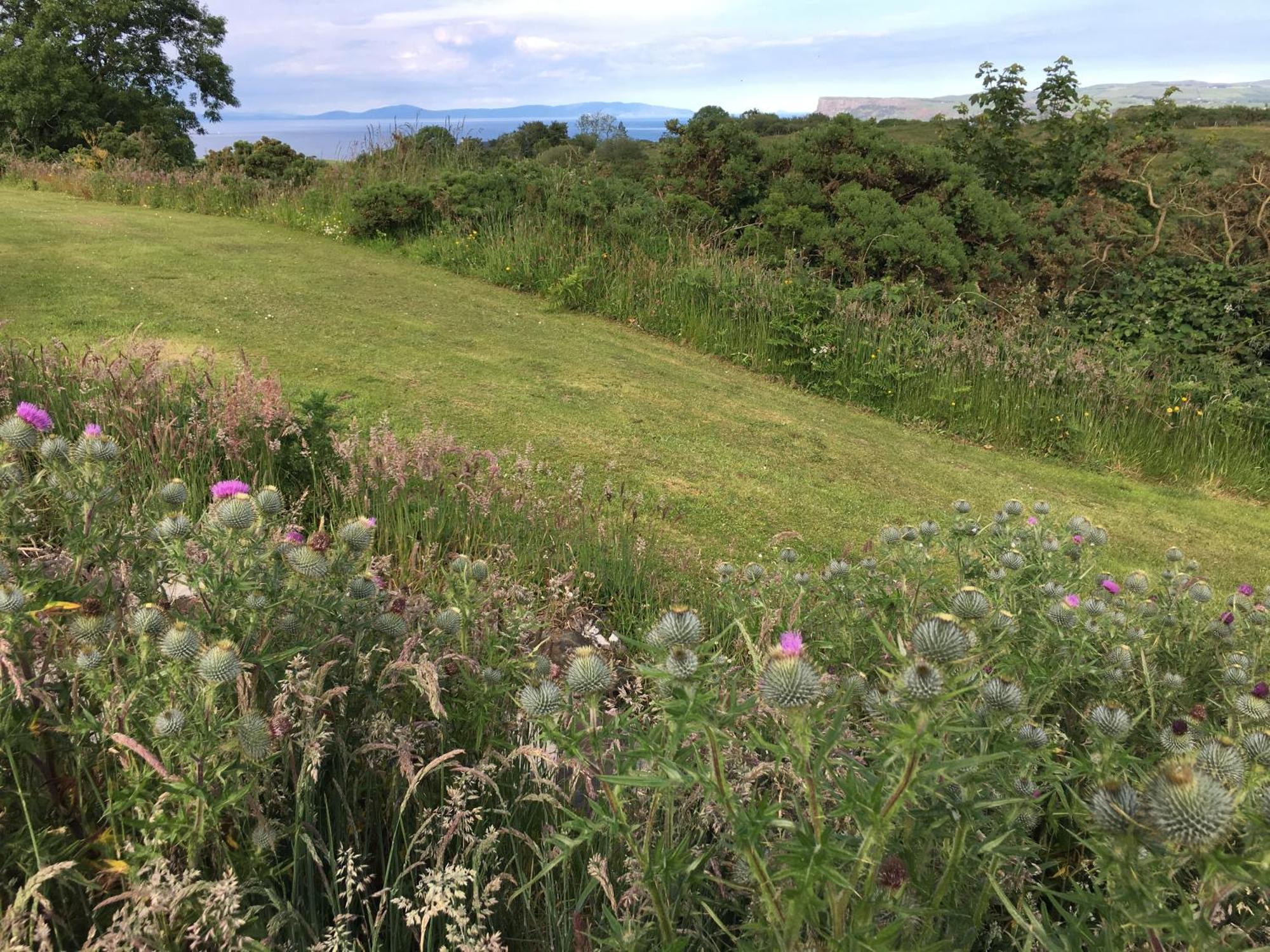 Causeway Coast Country Cottage, Pet-Friendly Ballycastle Exterior foto